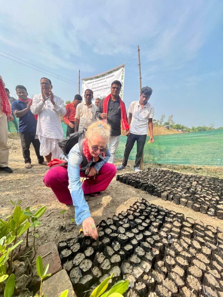 1741099426390_rimboschimento-sagar-island-11