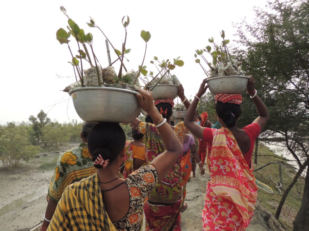 1741099466023_la-mangrovia-sagar-island-12
