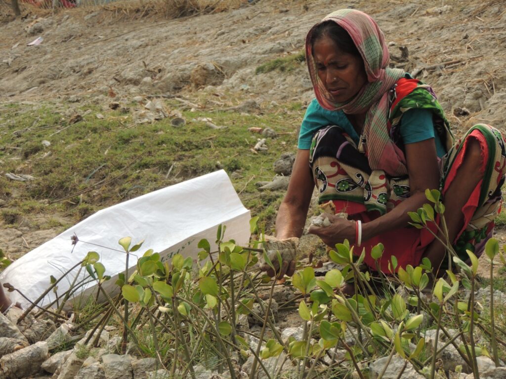 1741099466023_la-mangrovia-sagar-island-16